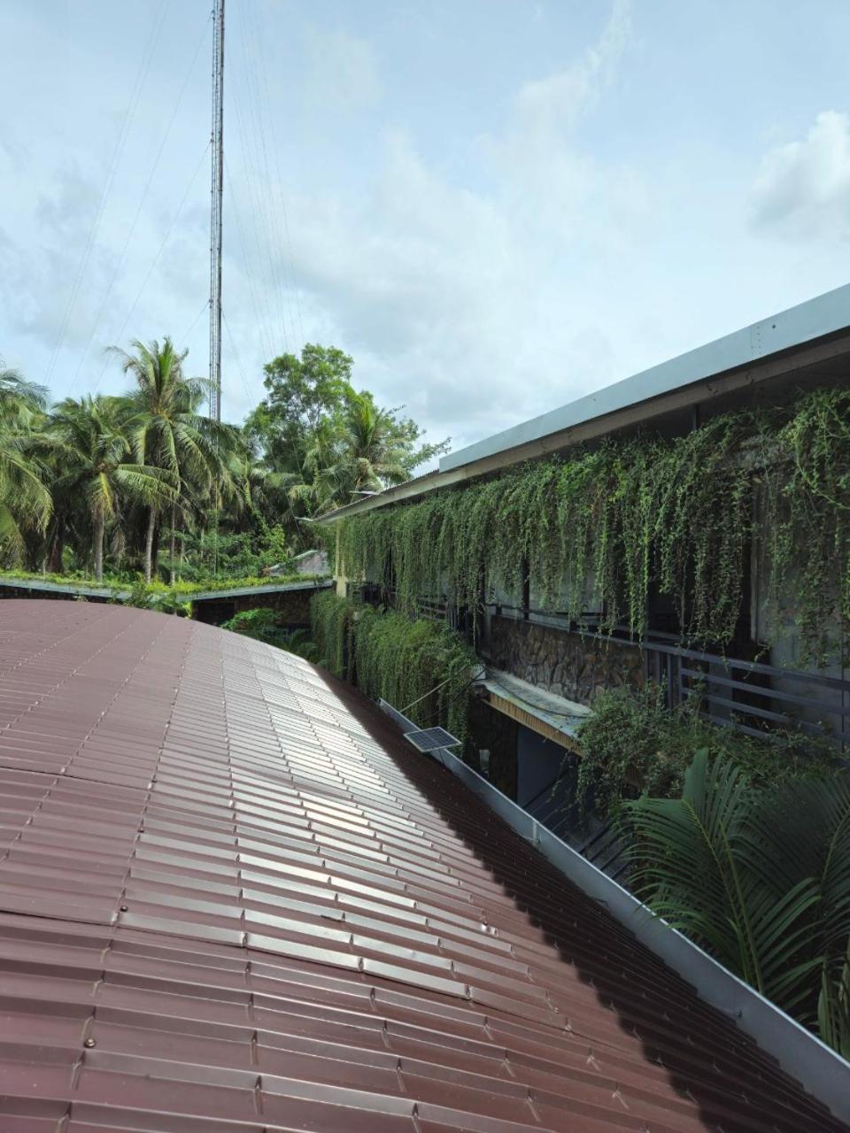 Homestay Bao Binh Ben Tre Exterior foto