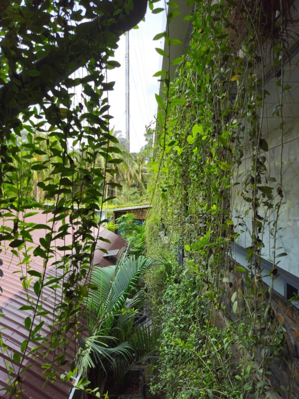 Homestay Bao Binh Ben Tre Exterior foto